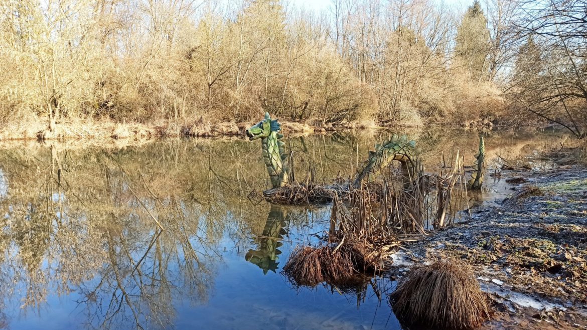 Un drago fuoriesce dalle acque calme di un laghetto, Chi sarà?