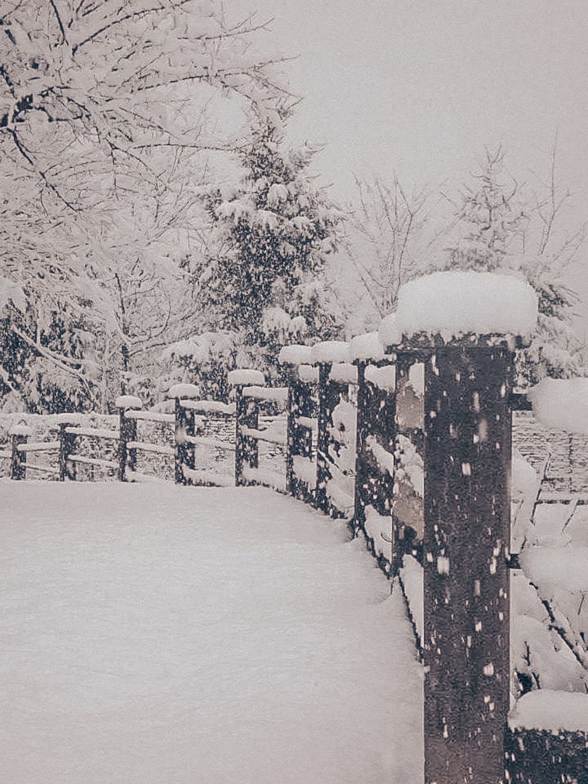Scorcio invernale con neve e distesa bianca